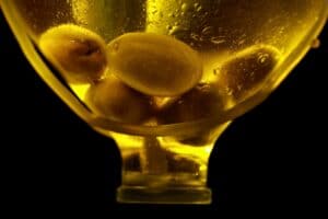 olives-2405103_1280