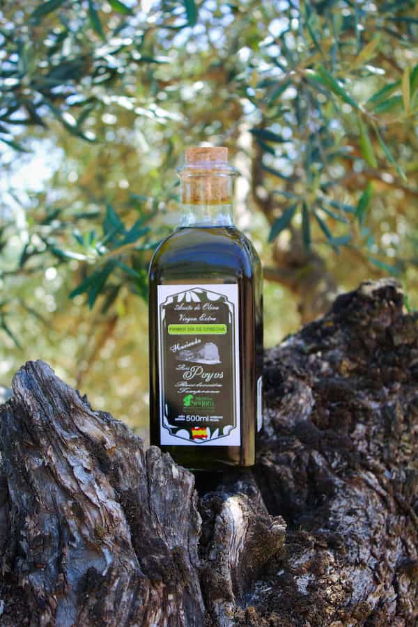 Frasca de aceite de oliva virgen extra reutilizable con tapón de corcho Hacienda Los Poyos en La Puerta de Segura