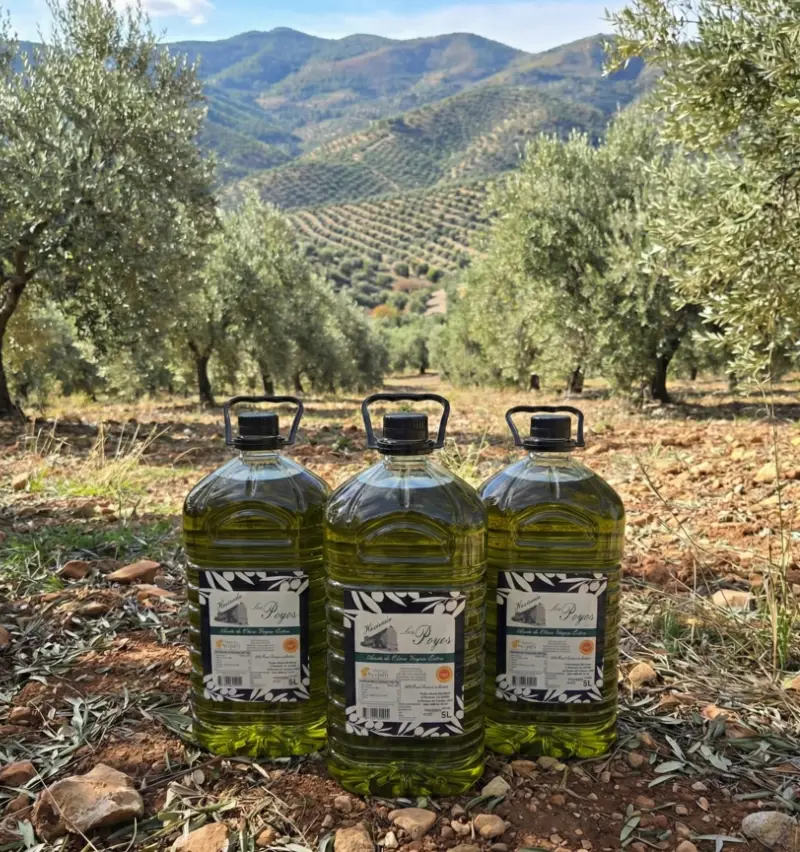 Aceite de Oliva Virgen Extra Temprano Hacienda Los Poyos La Puerta de Segura Jaén